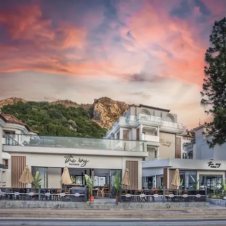 The Ivy فندق إتْشميلير